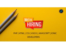 Intern Developer Wanted