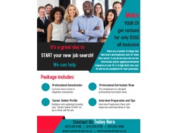 Professional CV Service