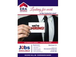 Estate Agent Property professional