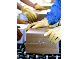 Order Picker and Packer