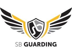 Manager of technical department at security company