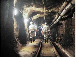 CODE 10 14 DRIVERS WITH (PDP) OPERATORS NEEDED URGENTLY 0659661697