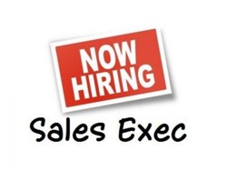Sales Executive