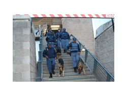 SAPS GRAHAMSTOWN IN EASTERN CAPE LOOKING FOR EMPLOYEES DURING THIS COVID-19