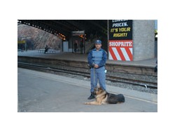 SAPS GRAHAMSTOWN IN EASTERN CAPE LOOKING FOR EMPLOYEES DURING COVID-19