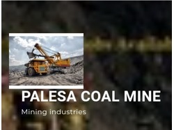 CRANES. ENGINEERING. BOBCAT NEEDED AT PALESA COAL MINE. CALL MR NKABINDE ON 0648142100