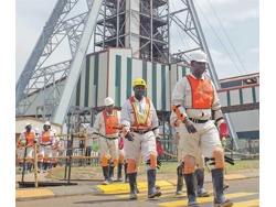 Driver s Licence code 10 14 with Pdp