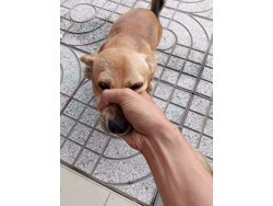 1stdumps. shop-Legit Dumps Shop Legit Dumps With Pin Legit Dumps Track