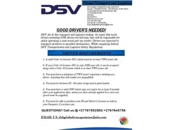 Dsv logistics transport
