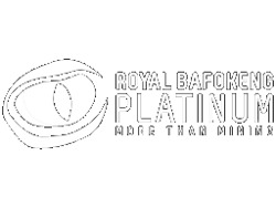 ROYAL BAFOKENG PLATINUM MINE IS LOOKING FOR NEW STAFF CALL MKHABELA 0711317339