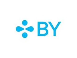 Business Consultant - S&amp;OP