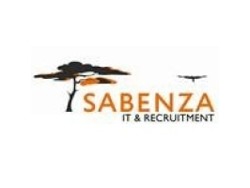 SAP Functional FI/CO Consultant