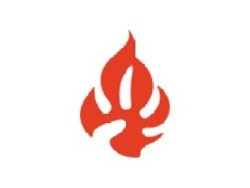 Volunteer: Presentation Creation for Infinite Family