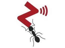 Change/Project Manager