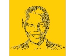 Social Inclusion and Diversity Manager Engagement and Transformation