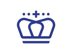 Data Architect and Team Lead