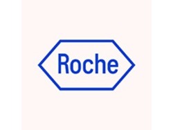 IT Support Specialist