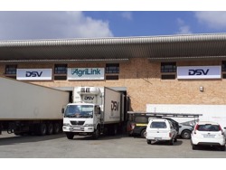 Dsv Global transport and logistics