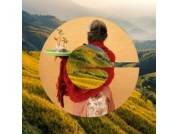 Fragrance Business Development Manager-S. Africa