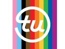 MAE II, Telco Major Account Executive