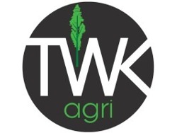 RPG Analyst Developer