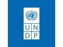 Local Consultant: Joint Programme Monitoring and Evaluation: South Africa, Pretoria