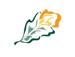 Activities Assistant - Bank - Care Home