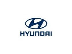 Dealer Principal - Hyundai Wonderboom