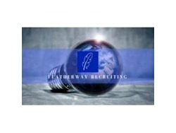 Franchise Principal at Insurance