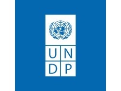 UNFPA Vacancy Announcement : Personal Assistant to Representative, G6, Pretoria