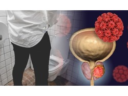 Fluxactive Complete Latest Reviews Don t Buy Before Read This