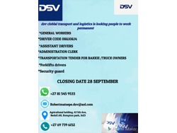 Dsv Global transport and Logistics