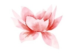 Junior Quantity Surveyor