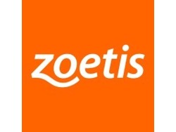 Professional Sales Representative