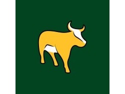 System Support Specialist