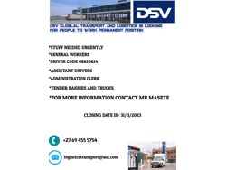 Dsv Global logistics transport