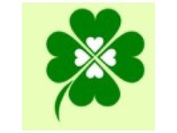 New Vehicle Sales Manager – Northcliff