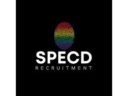 Business Process Engineer (with RPA experience)