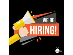 Sales Agents (Basic Salary)