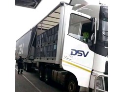Dsv Global and logistics transport