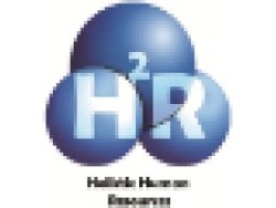 Business Analyst with HR system experience