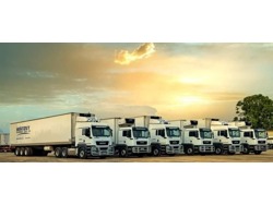 Truck Drivers Needed Urgently Call Mr David 073-603-6526