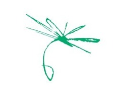 Sales Manager - Cargo