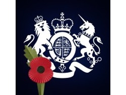 Grade 7 Senior Service Designer