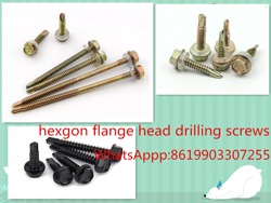Factory sales hexgon flange head drilling screws WhatsApp 8619903307255
