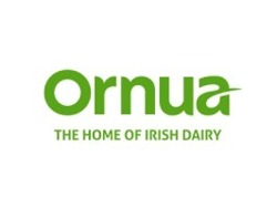 Junior Finance Business Partner