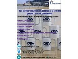 Dsv Cloblal Transport And Logistics
