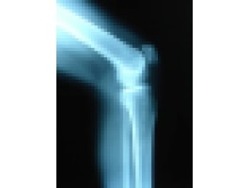 Data Entry Clerk Admin - Remote Work From Home