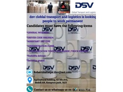 Dsv Global logistics transport