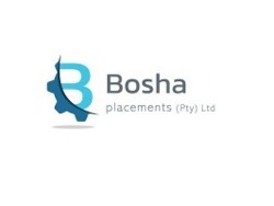 Site Manager (Engineering)